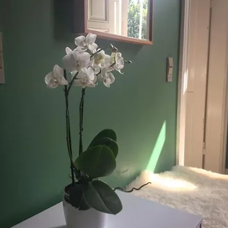 Rotzowlund Bed & Breakfast